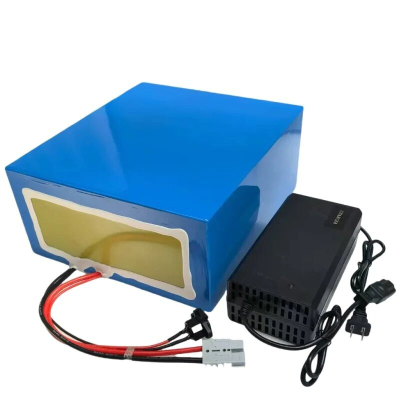 Baterai Lithium Ion Kapasitas  - 72V 30Ah Lifepo4 Battery Pack ulasan dan harga
